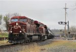 CP 8739